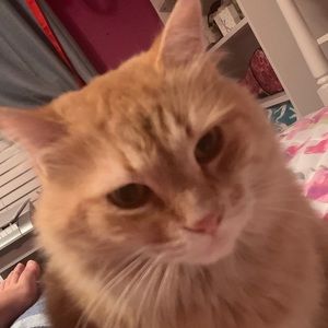 Meet your Posher, Kate